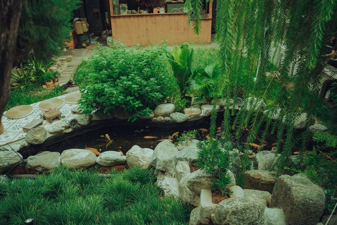春の庭づくりで見直したい植栽バランスの考え方