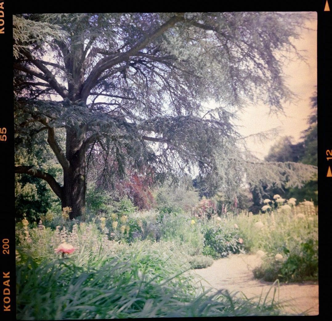翠庭園デザイン 15
