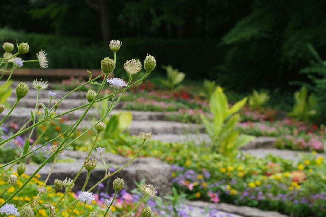 翠庭園デザイン 5